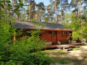 a log cabin in the woods with a porch at Lutterlodge in De Lutte