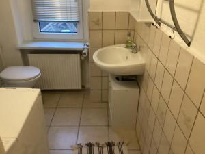 een kleine badkamer met een wastafel en een toilet bij Haus Lies in Rehfelde