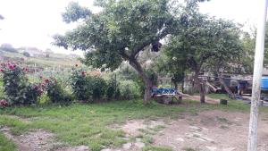 Gallery image of Agro House Mezge - აგროსახლი მეზგე in Bashkʼo