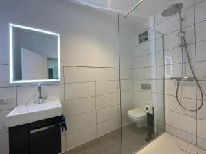a bathroom with a shower and a sink and a toilet at MR Ferienwohnung - Wohnung Greta in Schellerten