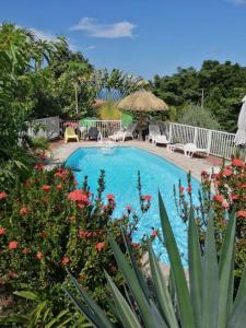 a swimming pool with chairs and tables and flowers at Charmant bungalow avec piscine Kaz' Basse in Bouillante