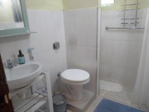 a bathroom with a shower and a toilet and a sink at Apartamento Várzea in Teresópolis