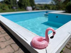 a pink flamingo toy sitting next to a swimming pool at APARTAMENTY Adamcykówka blisko stoku Czorsztyn-Ski! Jacuzzi i Sauna w cenie! in Kluszkowce