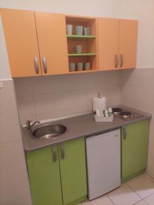 Kuchyň nebo kuchyňský kout v ubytování Apartment Belville, Suncokret 26