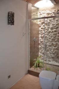 a bathroom with a toilet and a glass shower at Son Vell. Mallorca. Casa amb piscina ecològica. in Manacor
