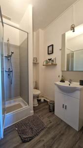 a bathroom with a shower and a sink and a toilet at Appart plein centre, vue cathédrale, fibre in Lisieux