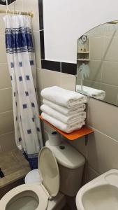 y baño con aseo y cortina de ducha. en Hotel Palmar del Río Premium en Archidona