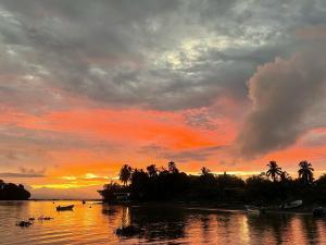 una puesta de sol sobre un cuerpo de agua con palmeras en Posadas el Nativo, en Bahía Solano