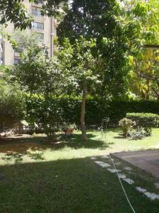 un parque con un árbol y césped y un edificio en Maadi Nerco, en El Cairo