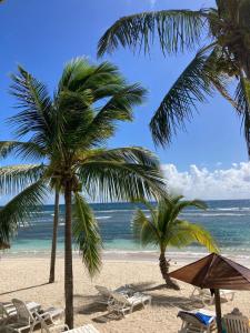 a beach with chairs and palm trees and the ocean at Appartements village Pierre et Vacances vue mer Guadeloupe St Anne studios ou T3 in Sainte-Anne