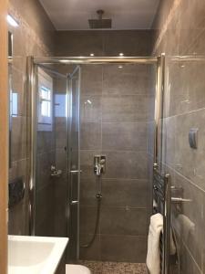 een badkamer met een douche en een glazen deur bij Tiny Deluxe Suite in Kalamaria in Thessaloniki