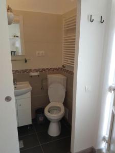 a bathroom with a white toilet and a sink at FLH - Studio Mai cu aroma de cafea si ceai in Sibiu