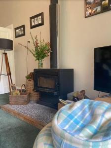 sala de estar con chimenea y TV en Tui Ridge Cottage en Waiterimu