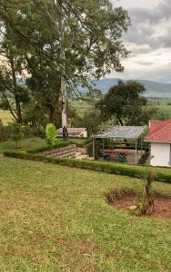 Koru Farm Retreat في Muhoroni: اطلاله على ساحه بها منزل وشجر