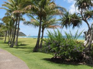 Villa 31 Tangalooma Beach Front في تنجالوما: مسار يؤدي إلى الشاطئ مع أشجار النخيل والزهور الأرجوانية