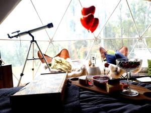 a room with a camera and a table with a dog at Nature Domes in Comboyne
