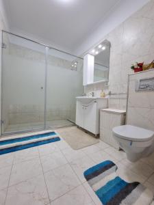 a bathroom with a shower and a toilet and a sink at Faleza Nord apartament de lux nou pe malul marii in Constanţa
