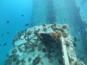 Una bicicleta sobre un arrecife en el océano en Island Holiday Lodge, en Felidhoo 