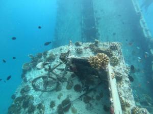 a bike laying on a reef in the ocean at Island Holiday Lodge in Keyodhoo
