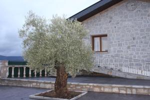 a tree in a courtyard next to a building at Casa con vistas a la Sierra de Guadarrama casavalleguadarrama in Guadarrama