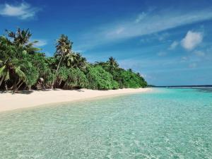 a beach with turquoise water and palm trees at Kihaa Holiday Home in Kihaadhoo