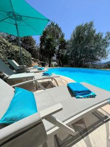 einen Pool mit Stühlen und Sonnenschirmen neben einem Pool in der Unterkunft Fantastic villa in the bay of Cannes, 5 minutes from the beach - with heated private pool in Mandelieu-la-Napoule