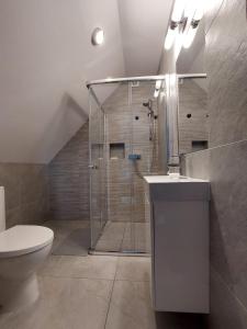 a bathroom with a shower and a toilet at Watra apartamenty z aneksami in Wetlina