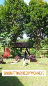 a dog standing next to a statue of a swan and a park at Sumatra Cheeky Monkeys in Bukit Lawang