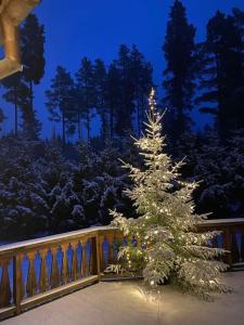 Laftet hytte i strandkanten med bade og fiske muligheter v zimě