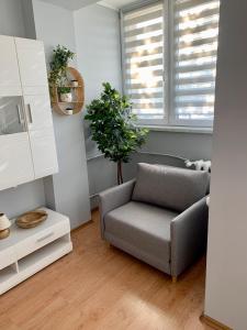 a living room with a chair and a plant at Apartament Joanna 2 parter in Gliwice
