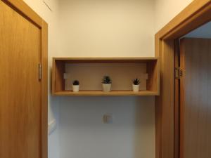 two potted plants on a shelf in a room at Apartman Maslacak in Divčibare