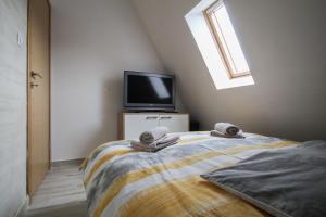 a bedroom with a bed and a tv and a window at Apartman Maslacak in Divčibare