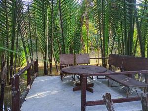 Fotografie z fotogalerie ubytování Homestay Xóm Dừa Nước v destinaci Ben Tre