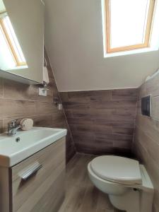 a bathroom with a toilet and a sink at Apartman Maslacak in Divčibare