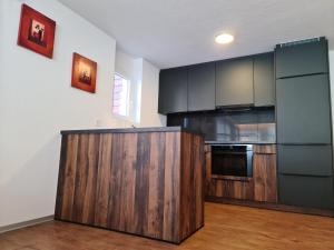 Kuchyň nebo kuchyňský kout v ubytování Saaserhof Apartments