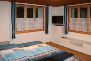 a bedroom with a bed and a tv and windows at Energy Lodge in Kandersteg