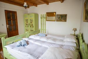 Billede fra billedgalleriet på Pensiunea Sachsenhof i BÄƒgaciu