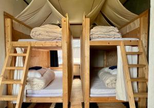 a couple of bunk beds in a room at Hostel Fuji Matsuyama Base in Fujiyoshida