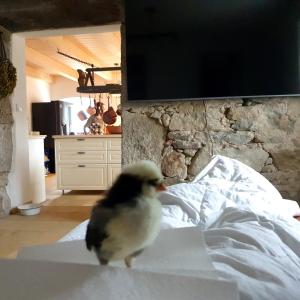 a bird sitting on top of a bed at Landgut Michlshof - Bauernhof, Tinyhouse, Tiere in Untergriesbach
