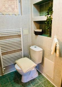 a bathroom with a toilet and a towel rack at Privát Majo - Váš oddych na Liptove in Liptovský Mikuláš +90 photos