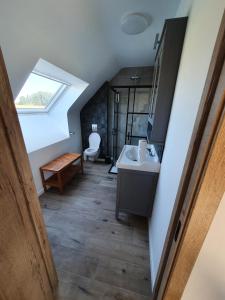 Pepingen的住宿－B&B Dekorn，一间带水槽和卫生间的浴室