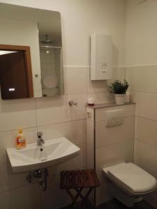 een badkamer met een wastafel, een toilet en een spiegel bij Ferienwohnung Waldblick Winterberg in Winterberg