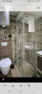 een badkamer met een douche en een toilet bij ANASTASIJAKOP in Kopaonik