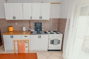 una pequeña cocina con fogones y fregadero en Apartman Tea i Studio apartman Toni en Gradište