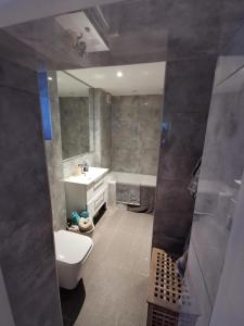 La salle de bains est pourvue d'un lavabo, de toilettes et d'une baignoire. dans l'établissement Entire 1-Bed Apartment in London Haringey, à Londres