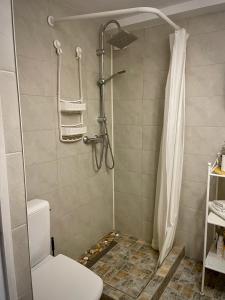 y baño con ducha, aseo y cortina de ducha. en MAYAHouse, en Bucarest 20 fotos más