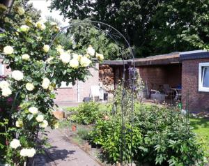 a garden with roses and a fence and a house at Messe Luxury room in Hannover