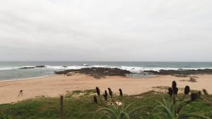 uma vista para uma praia com cactos e o oceano em Alpero Umtentweni em Port Shepstone