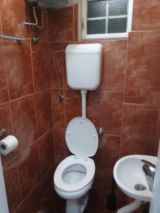 ein Bad mit einem WC und einem Waschbecken in der Unterkunft Mili Host in Belgrad