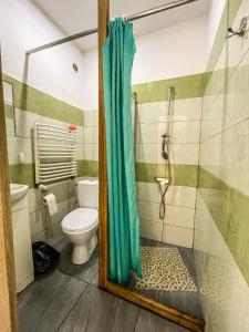 een badkamer met een toilet en een douche bij Agroturystyka"u Piwowara" in Kłodzko